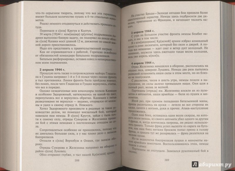 Иллюстрация 9 из 24 для Партизанская война на Украине. Дневники командиров партизанских отрядов и соединений. 1941-1944 | Лабиринт - книги. Источник: ds