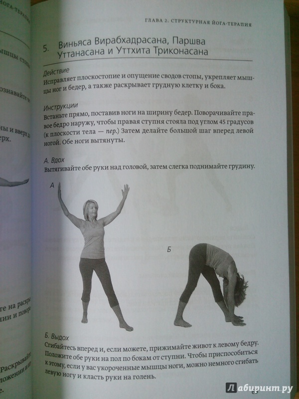 Иллюстрация 4 из 8 для Большая книга йога-терапии. Практика йоги для здоровья тела и ясности ума - Ремо Риттинер | Лабиринт - книги. Источник: Светлица