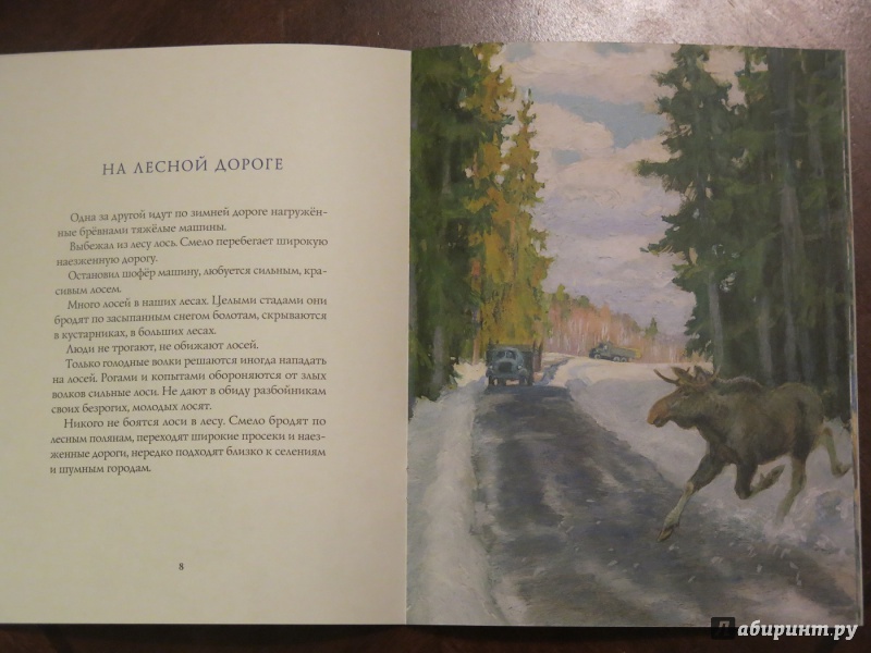 Иллюстрация 15 из 64 для Зима в лесу - Иван Соколов-Микитов | Лабиринт - книги. Источник: anschaffen