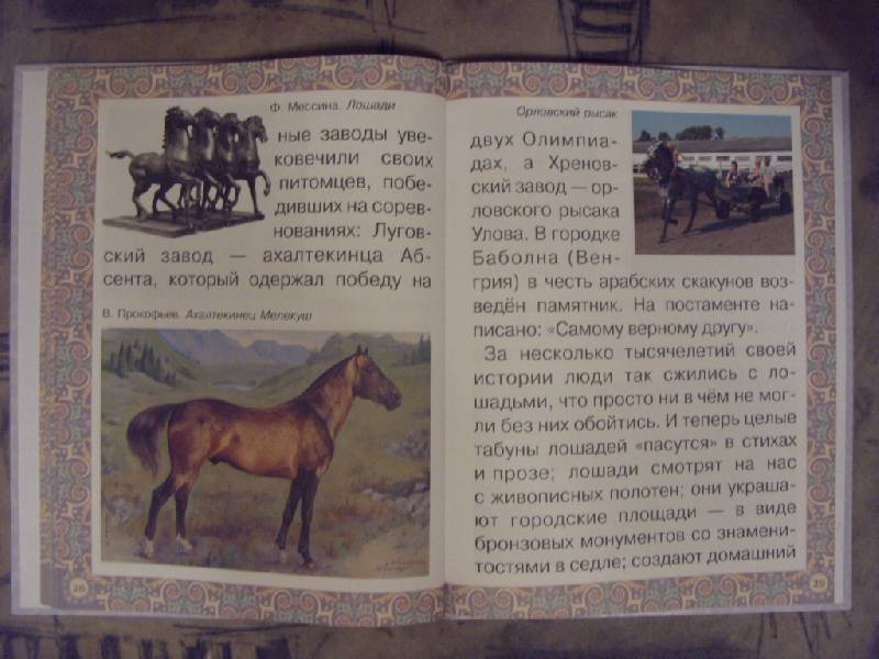 Иллюстрация 17 из 17 для Наша добрая лошадка - Наталия Ермильченко | Лабиринт - книги. Источник: Золотая рыбка