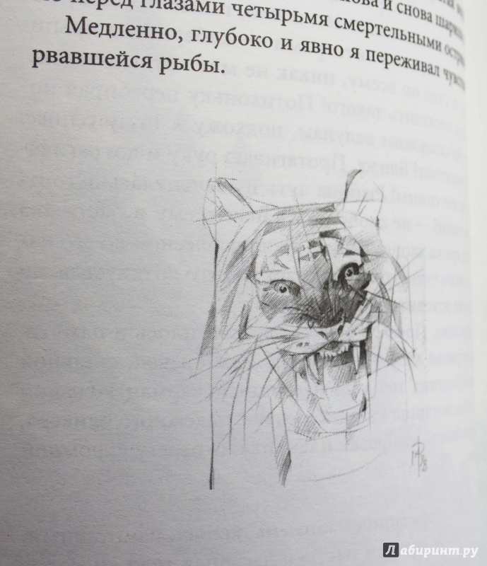 Иллюстрация 11 из 29 для Под знаком тигра - Олег Вороной | Лабиринт - книги. Источник: Кутукова  Галина