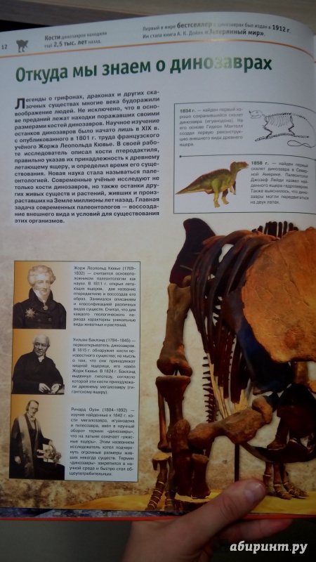 Иллюстрация 13 из 21 для Динозавры - Виктория Владимирова | Лабиринт - книги. Источник: Мила
