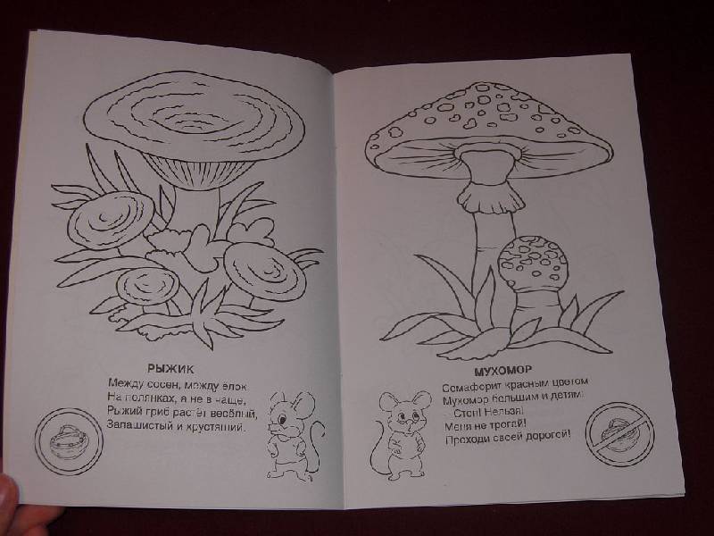 Иллюстрация 8 из 14 для Знаешь ли ты грибы-грибочки? - Елена Михайленко | Лабиринт - книги. Источник: Iwolga