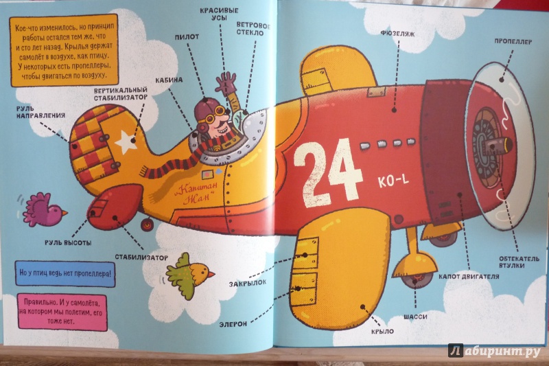 Иллюстрация 19 из 36 для Всё, что летает по воздуху - Брайан Биггз | Лабиринт - книги. Источник: Ухова  Юлия