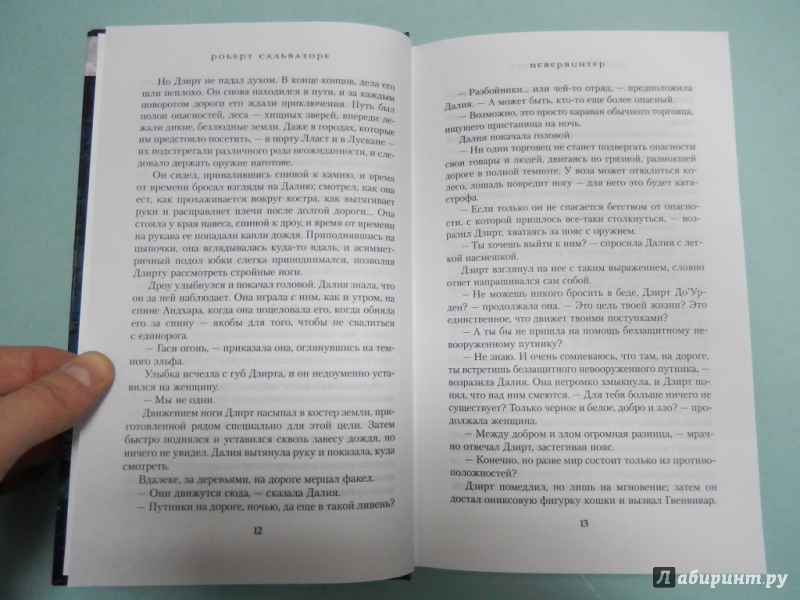 Иллюстрация 7 из 14 для Невервинтер - Роберт Сальваторе | Лабиринт - книги. Источник: dbyyb