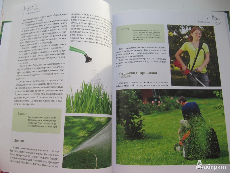 Иллюстрация 6 из 12 для Газон, живая изгородь, дорожки на садовом участке - Анастасия Скворцова | Лабиринт - книги. Источник: DoNNa.С