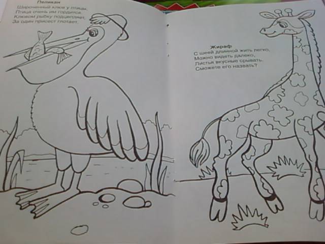 Иллюстрация 6 из 8 для Раскраска: В зоопарке - Скребцова, Лопатина | Лабиринт - книги. Источник: lettrice