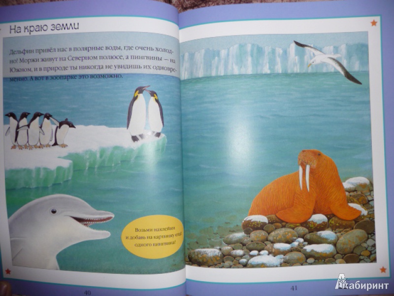 Иллюстрация 11 из 16 для Чудо-наклейки. Мир океана - Морис Пледжер | Лабиринт - книги. Источник: Anyta23