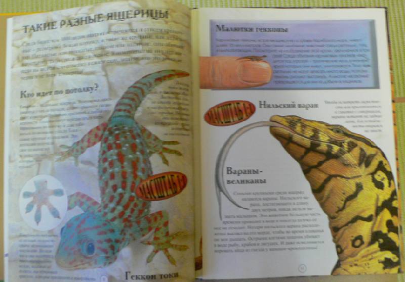 Иллюстрация 19 из 21 для Рептилии - Ханна Уилсон | Лабиринт - книги. Источник: Troulala