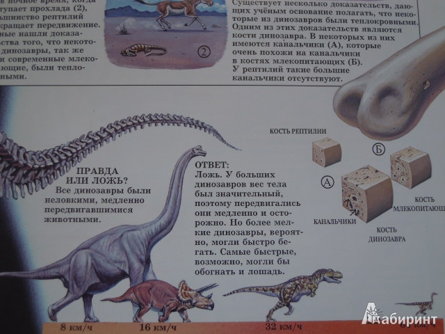 Иллюстрация 20 из 21 для Динозавры - Джон Веско | Лабиринт - книги. Источник: Iwolga