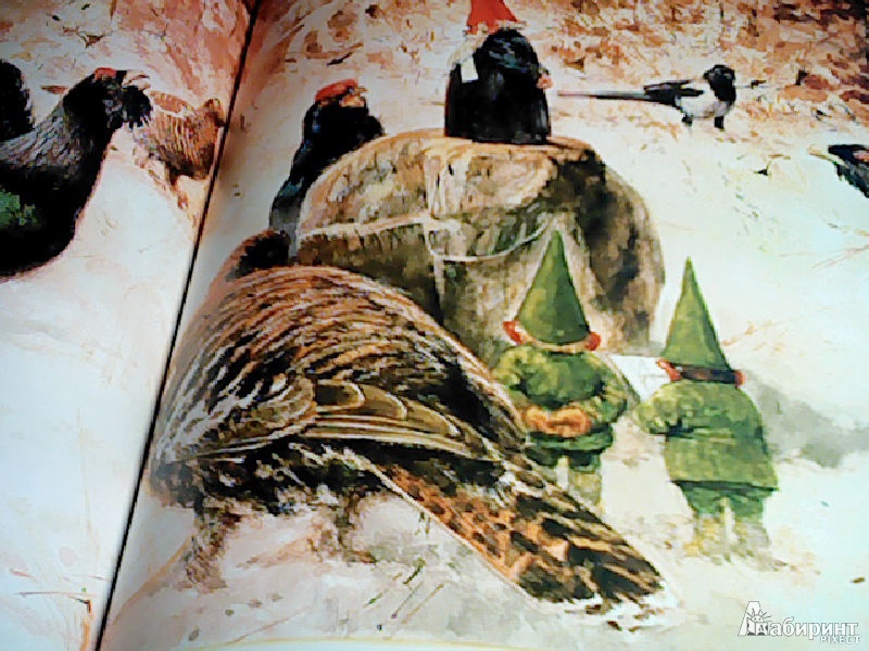 Иллюстрация 50 из 77 для Тайны гномов - Вил Хёйген | Лабиринт - книги. Источник: St.Rokka