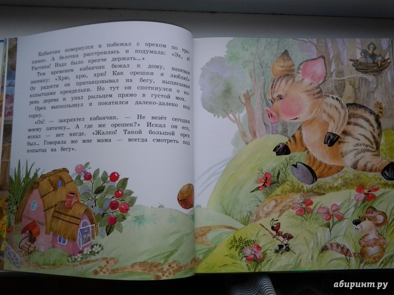 Иллюстрация 20 из 52 для Хочу подарок - Лилия Носова | Лабиринт - книги. Источник: Olga