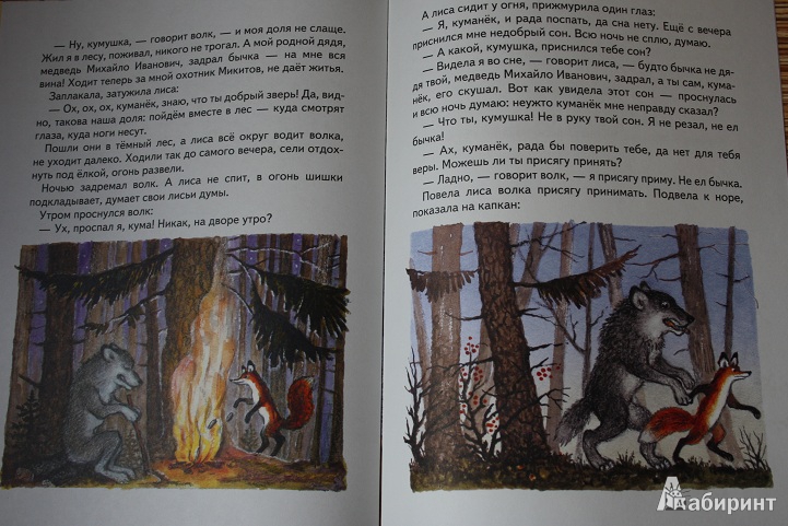 Иллюстрация 48 из 48 для Русские народные сказки. Комплект из 5 книг в папке | Лабиринт - книги. Источник: КНИЖНОЕ ДЕТСТВО