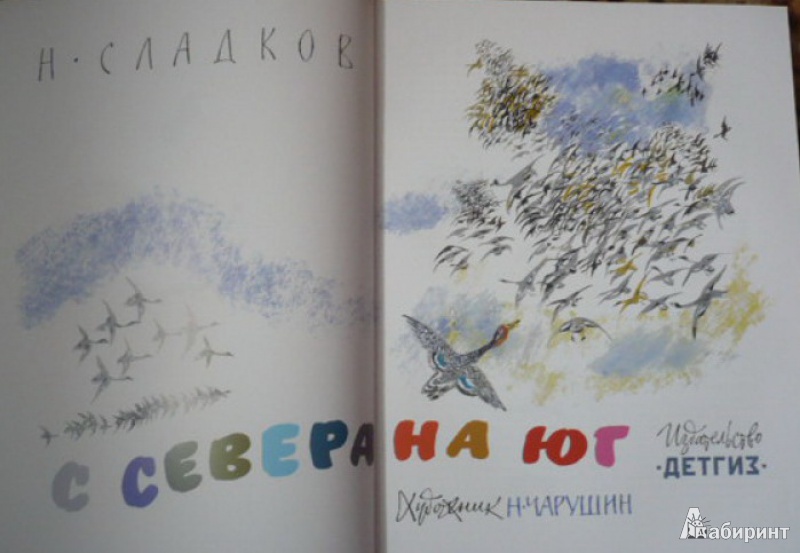 Иллюстрация 32 из 52 для С севера на юг - Николай Сладков | Лабиринт - книги. Источник: Штерн  Яна