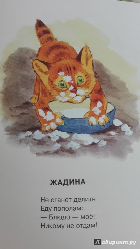 Иллюстрация 57 из 64 для Посмотрите какие котята - Владимир Матвеев | Лабиринт - книги. Источник: Миа