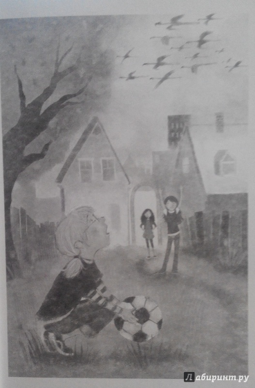 Иллюстрация 31 из 35 для Знакомство с феями - Кики Торп | Лабиринт - книги. Источник: Orise