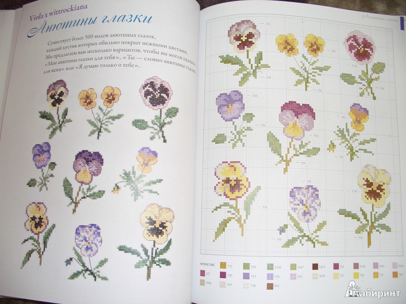 Иллюстрация 13 из 26 для Садовые цветы, вышитые крестом - Вероник Ажинер | Лабиринт - книги. Источник: variae lectiones