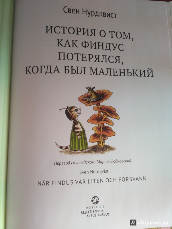 Иллюстрация 36 из 102 для История о том как Финдус потерялся, когда был маленьким - Свен Нурдквист | Лабиринт - книги. Источник: irinka_m