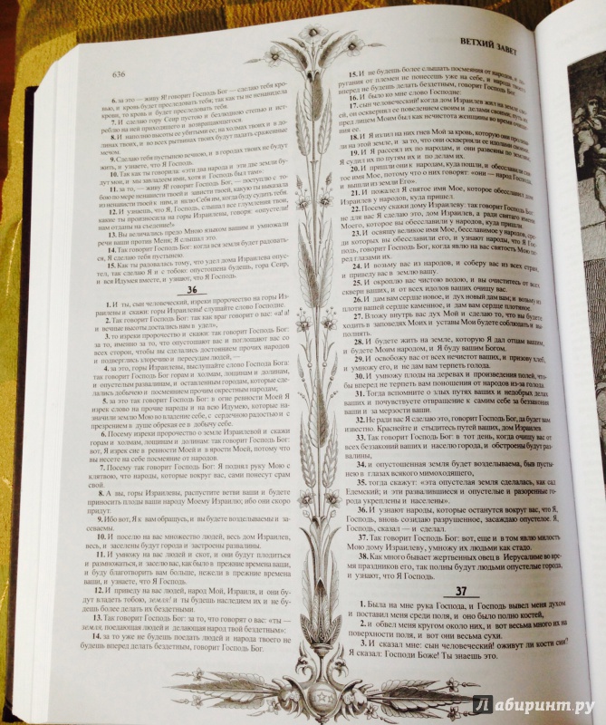 Иллюстрация 21 из 88 для Библия. Книги Священного Писания Ветхого и Нового Заветов | Лабиринт - книги. Источник: slesya