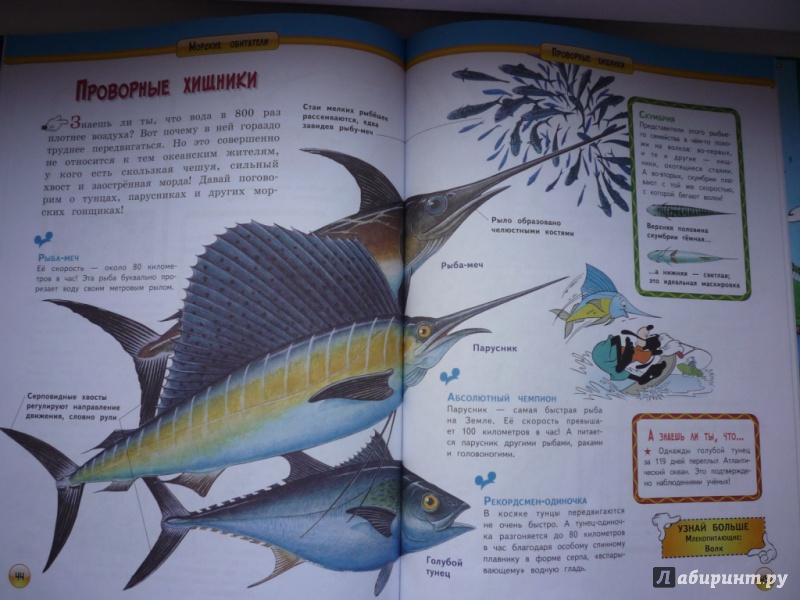 Иллюстрация 10 из 21 для Морские обитатели | Лабиринт - книги. Источник: Голубева  Евгения Олеговна