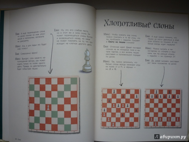 Иллюстрация 34 из 37 для Шахматы для детей - Сабрина Чеваннес | Лабиринт - книги. Источник: Голубева  Евгения Олеговна