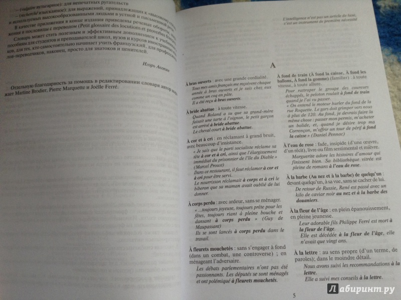 Иллюстрация 5 из 16 для Dictionnaire des expressions idiomatiques franaises - Владимир Когут | Лабиринт - книги. Источник: Xenia