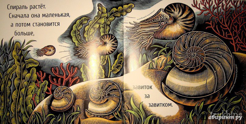 Иллюстрация 48 из 65 для Живые спирали - Джойс Сидман | Лабиринт - книги. Источник: Трухина Ирина