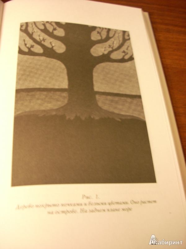 Иллюстрация 17 из 22 для Философское древо - Карл Юнг | Лабиринт - книги. Источник: Сытых  Елена