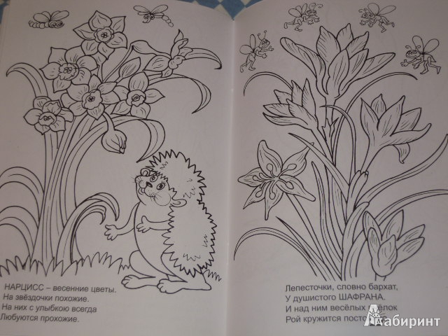 Иллюстрация 9 из 11 для Цветущий сад - Наталья Мигунова | Лабиринт - книги. Источник: Iwolga