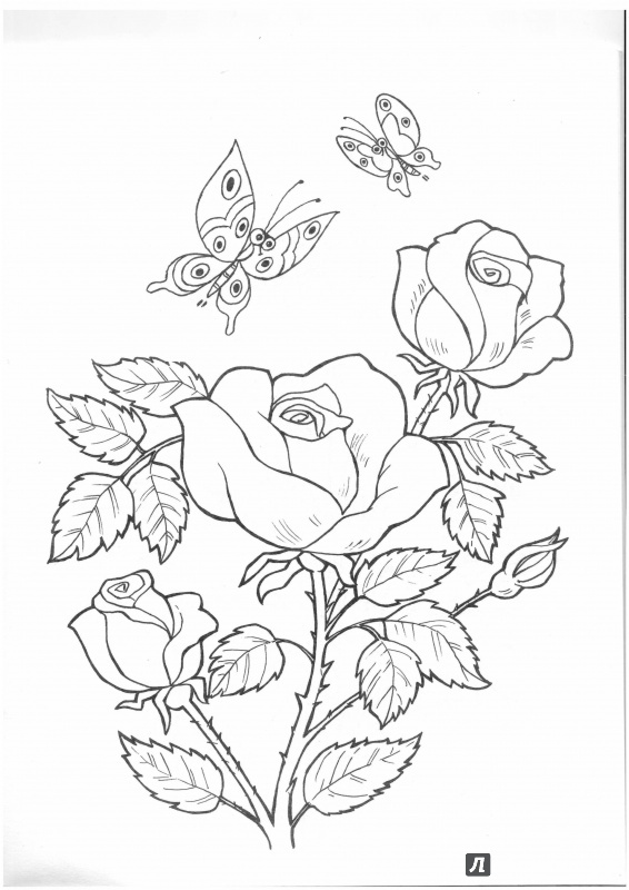 Иллюстрация 3 из 22 для Цветы и бабочки - Татьяна Коваль | Лабиринт - книги. Источник: Lechman@list.ru