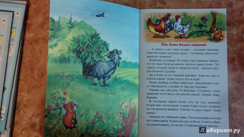 Иллюстрация 5 из 30 для Как Хома козла охранял - Альберт Иванов | Лабиринт - книги. Источник: Косова  Мария
