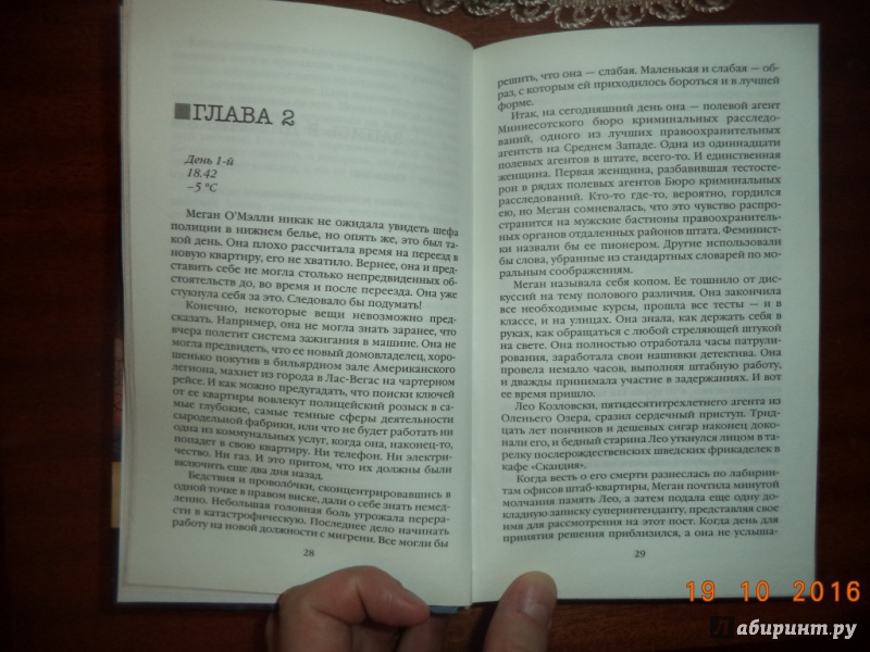 Иллюстрация 24 из 29 для Ночные грехи - Тэми Хоуг | Лабиринт - книги. Источник: Kirill  Badulin