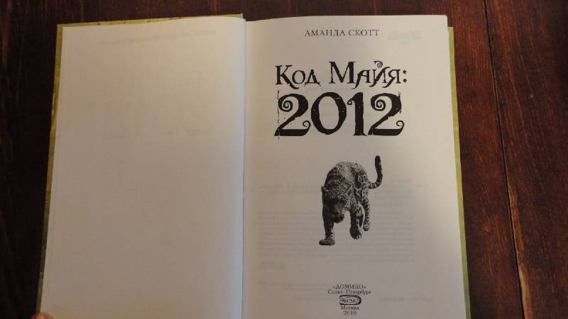 Иллюстрация 3 из 5 для Код майя: 2012 - Аманда Скотт | Лабиринт - книги. Источник: Субачев Данила Юрьевич