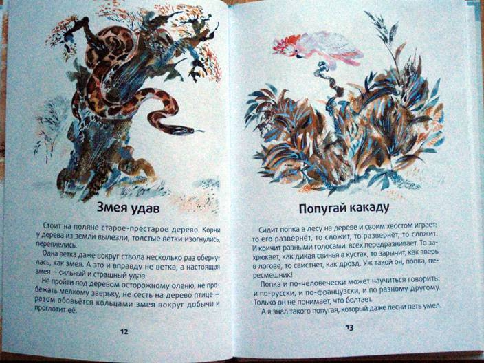 Иллюстрация 7 из 10 для Моя первая зоология - Евгений Чарушин | Лабиринт - книги. Источник: beet