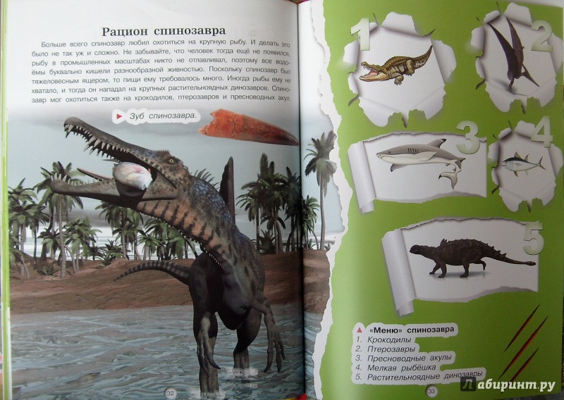 Иллюстрация 17 из 24 для Динозавры - Дмитрий Кошевар | Лабиринт - книги. Источник: Соловьев  Владимир