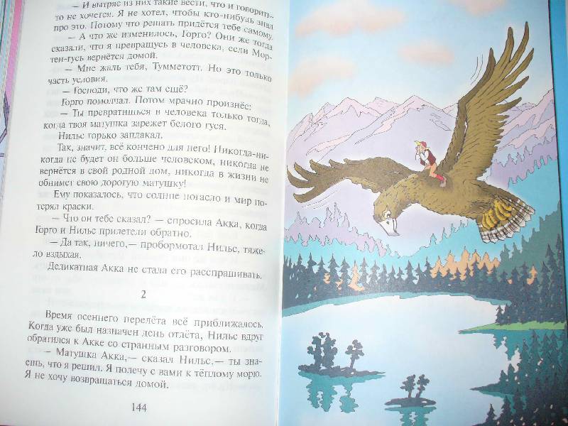 Иллюстрация 24 из 46 для Чудесное путешествие Нильса с дикими гусями - Сельма Лагерлеф | Лабиринт - книги. Источник: Змей Горыныч