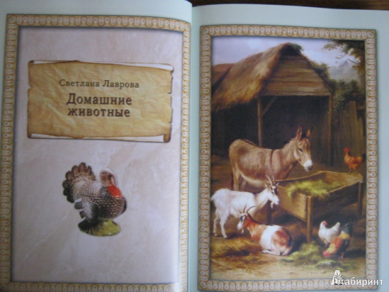 Иллюстрация 6 из 25 для Загадки животного мира - Калашников, Лаврова | Лабиринт - книги. Источник: Евгения39