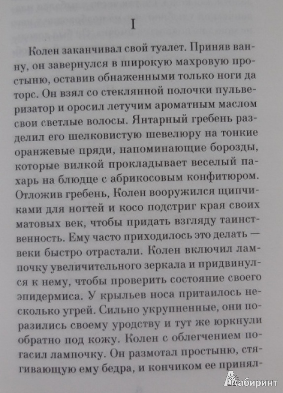 Иллюстрация 9 из 16 для Пена дней - Борис Виан | Лабиринт - книги. Источник: Большой любитель книг