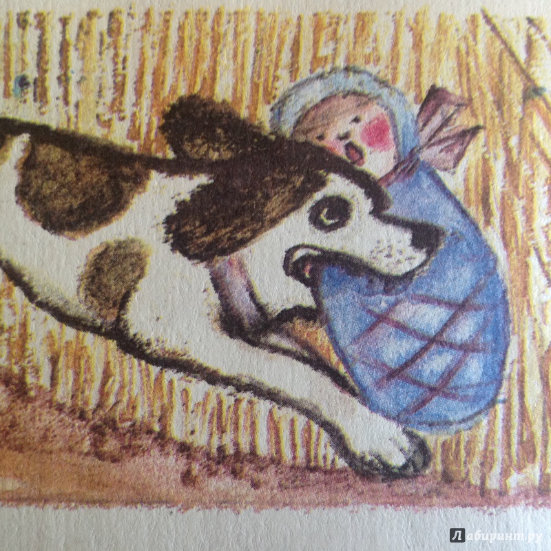 Иллюстрация 15 из 34 для Дружба зверей | Лабиринт - книги. Источник: Sage Tea