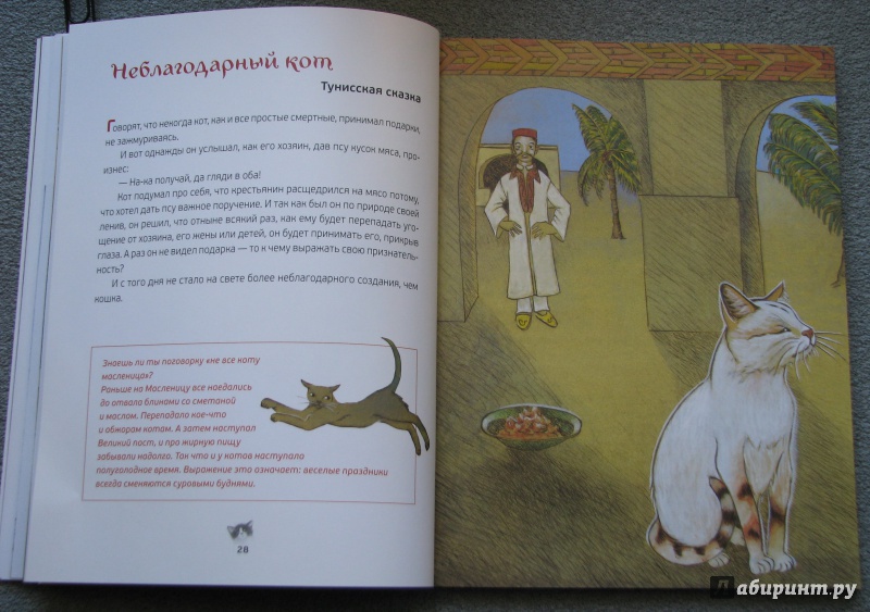 Иллюстрация 17 из 63 для Кошачьи сказки - Анна Строева | Лабиринт - книги. Источник: Штерн  Яна