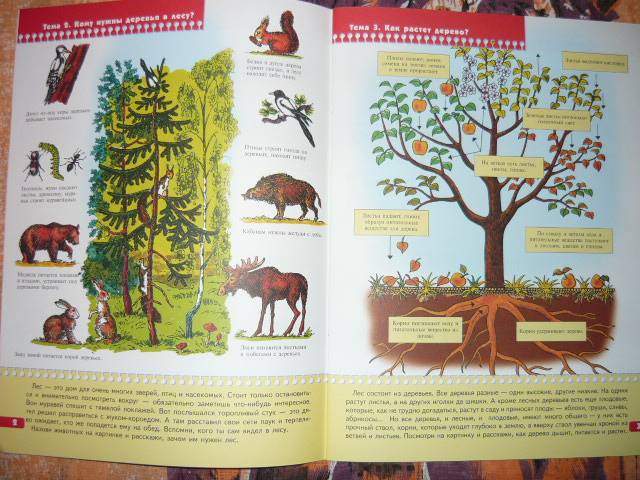 Иллюстрация 5 из 9 для Экология для малышей. Для занятия с детьми от 6 до 7 лет. | Лабиринт - книги. Источник: Ромашка:-)