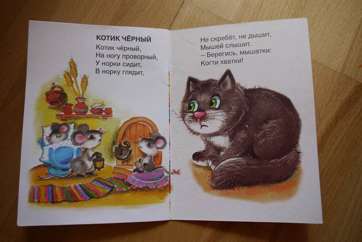 Иллюстрация 6 из 17 для Котенька-коток | Лабиринт - книги. Источник: innacem
