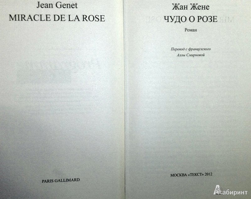 Иллюстрация 3 из 46 для Чудо о розе - Жан Жене | Лабиринт - книги. Источник: Леонид Сергеев
