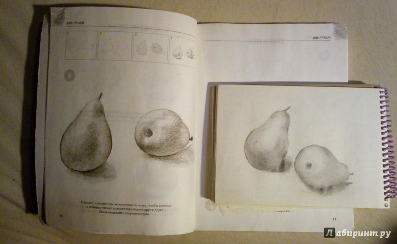 Иллюстрация 34 из 36 для Рисуем карандашом. Экспресс-курс - Баррингтон Барбер | Лабиринт - книги. Источник: Лабиринт