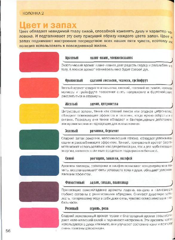 Иллюстрация 12 из 19 для Главные правила сочетания цветов | Лабиринт - книги. Источник: Алинуся