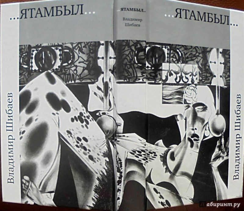Иллюстрация 2 из 31 для ЯТАМБЫЛ - Владимир Шибаев | Лабиринт - книги. Источник: Александр Н.