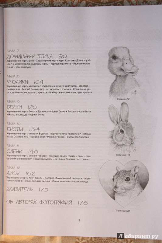Иллюстрация 3 из 16 для Как рисовать животных. Книга не только для тех, кто хочет научиться рисовать - Карен Пул | Лабиринт - книги. Источник: С  Т