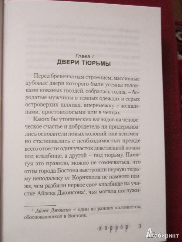 Иллюстрация 12 из 13 для Алая буква - Натаниель Готорн | Лабиринт - книги. Источник: Mrafoglov