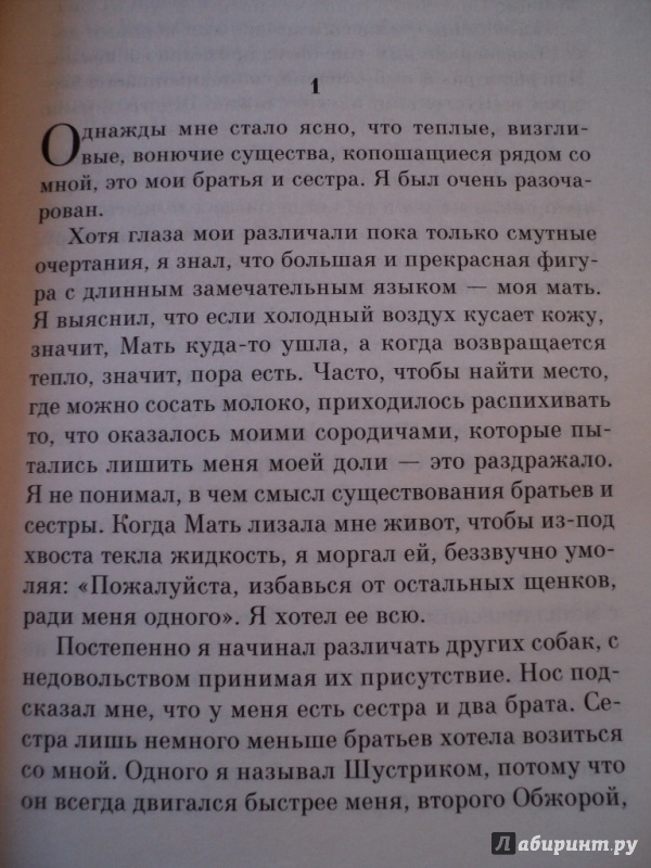 Иллюстрация 8 из 22 для Жизнь и цель собаки - Брюс Кэмерон | Лабиринт - книги. Источник: Марика909