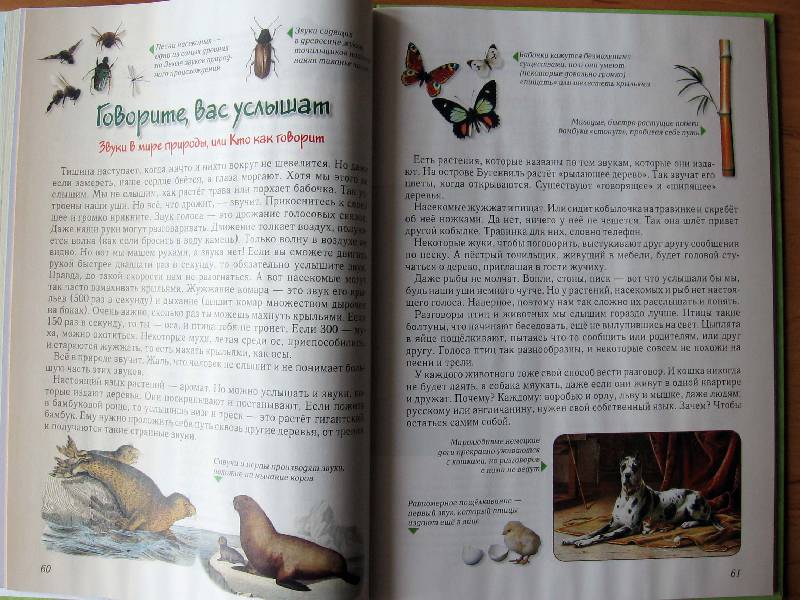 Иллюстрация 55 из 61 для Занимательная биология - Ольга Колпакова | Лабиринт - книги. Источник: Red cat ;)
